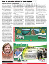 newsletter162X214